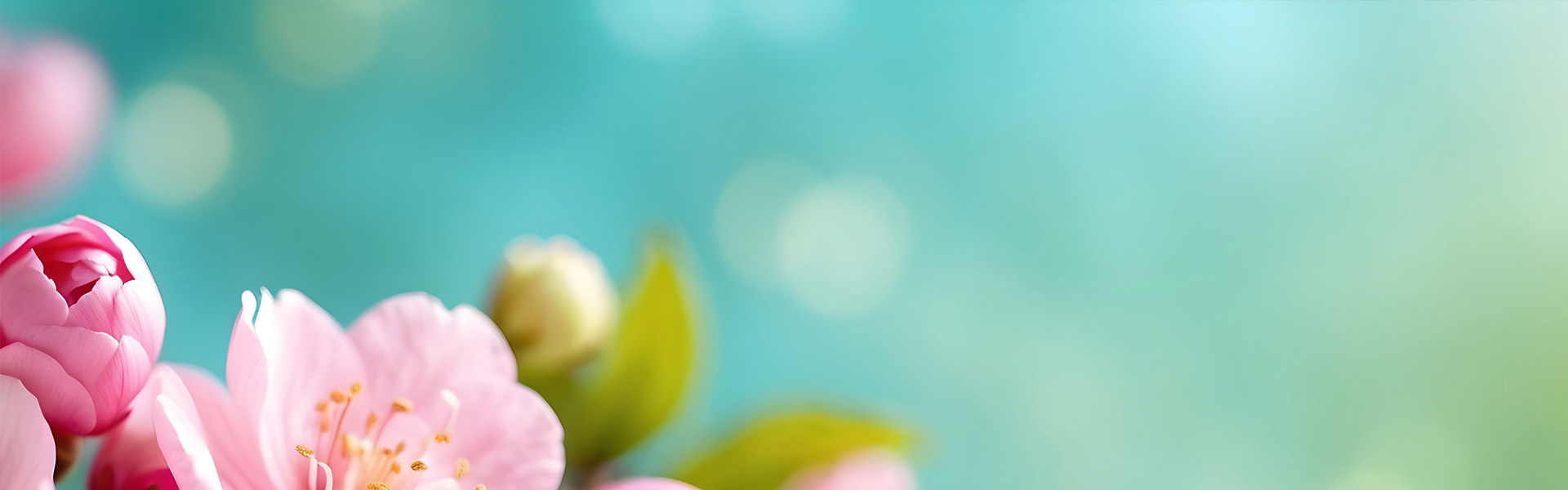 昆明花卉行业商会